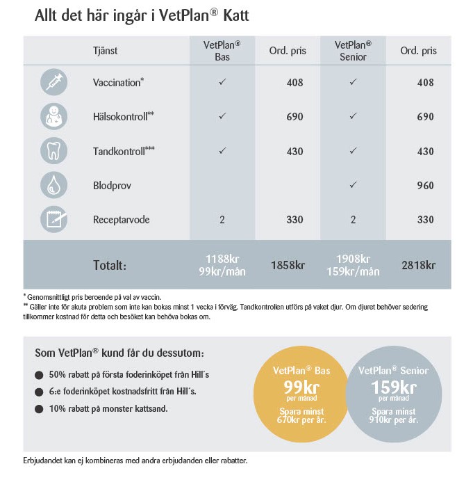 Motala Djurklinik Kattbeskuren