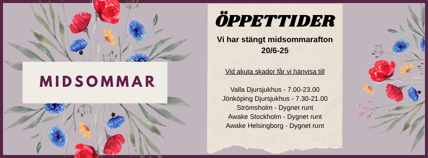 Kopia av Semester
